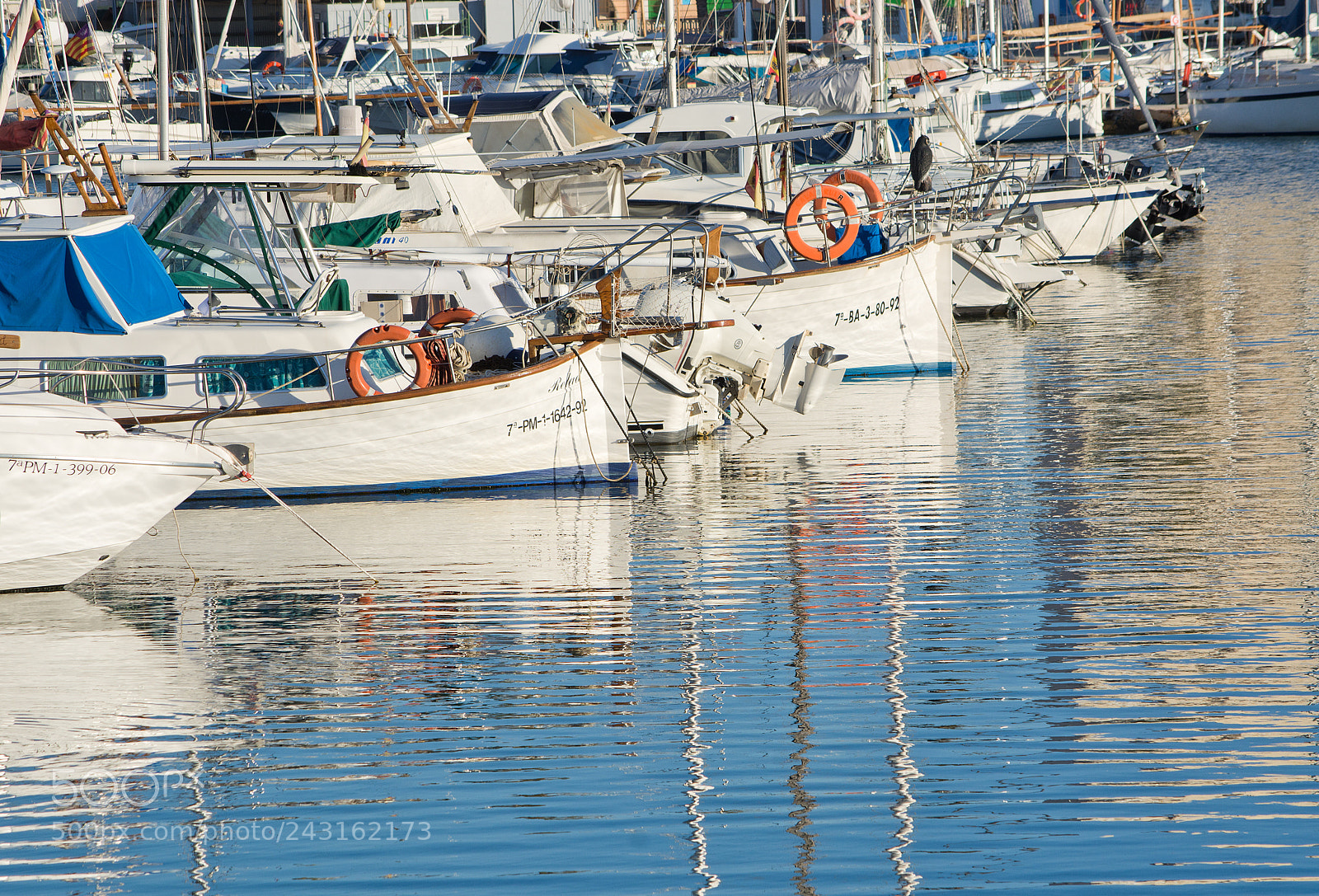 Nikon D7100 sample photo. Portixol marina moored boats photography
