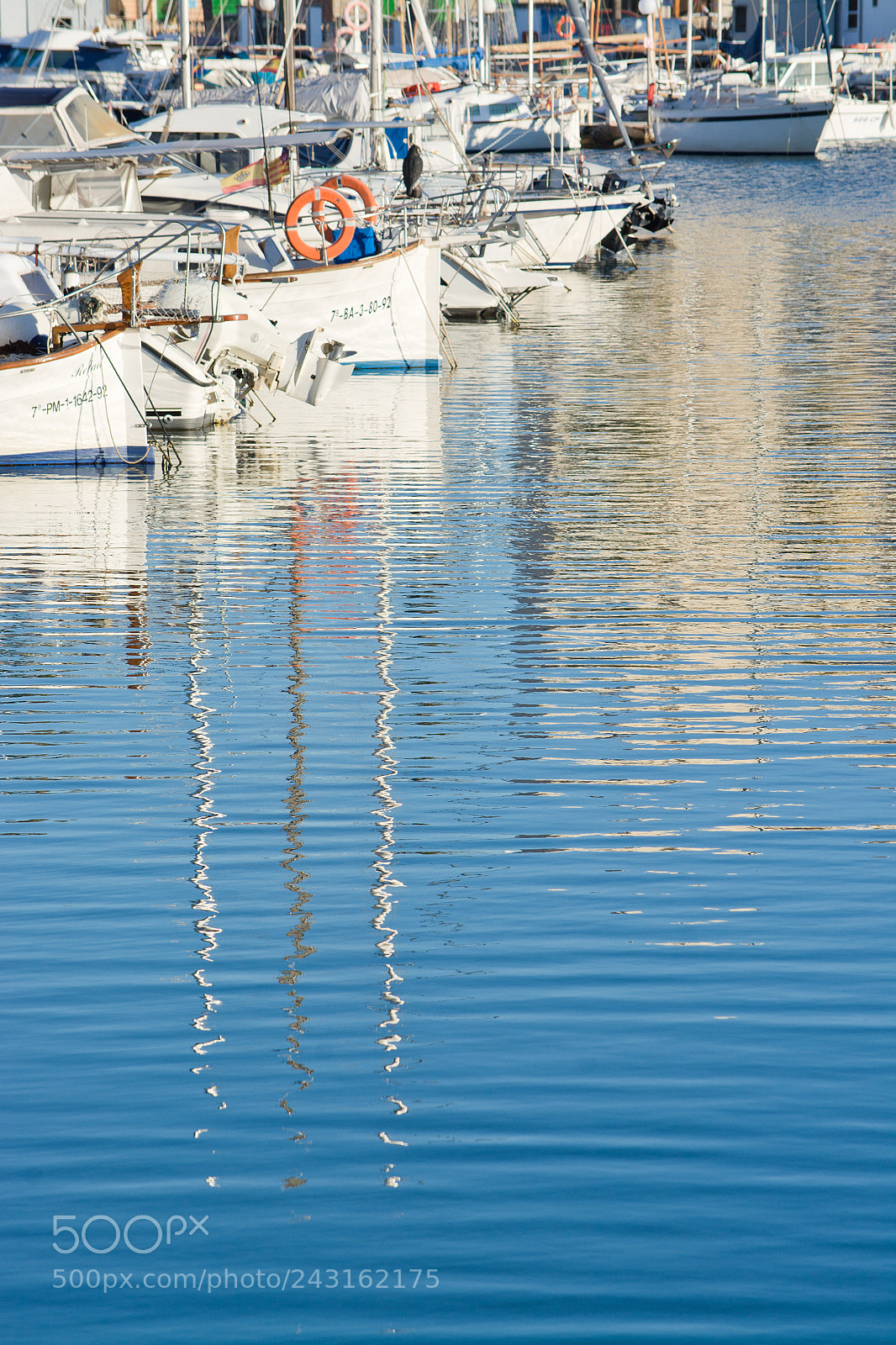 Nikon D7100 sample photo. Portixol marina moored boats photography