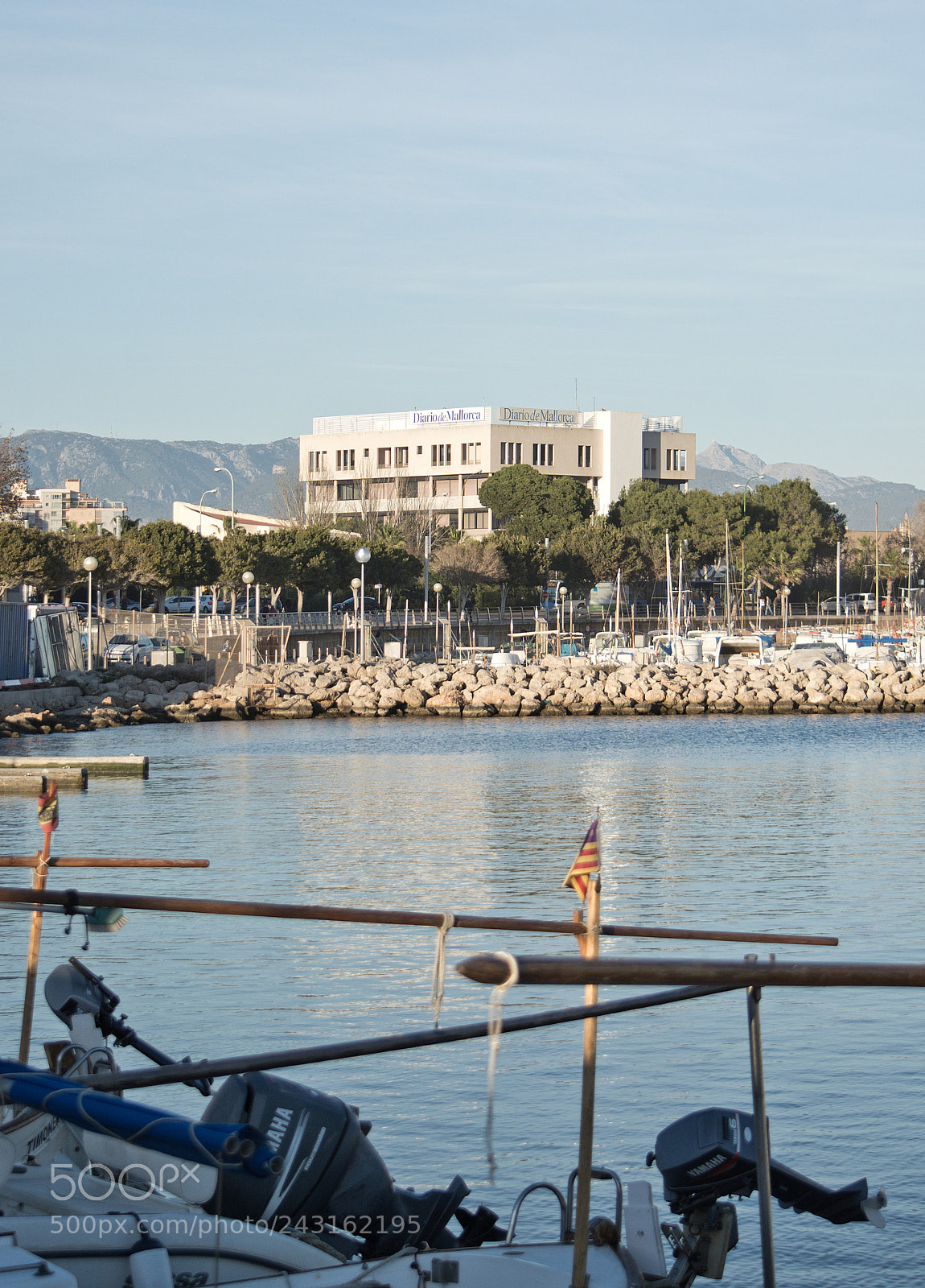 Nikon D7100 sample photo. Portixol marina moored boats photography