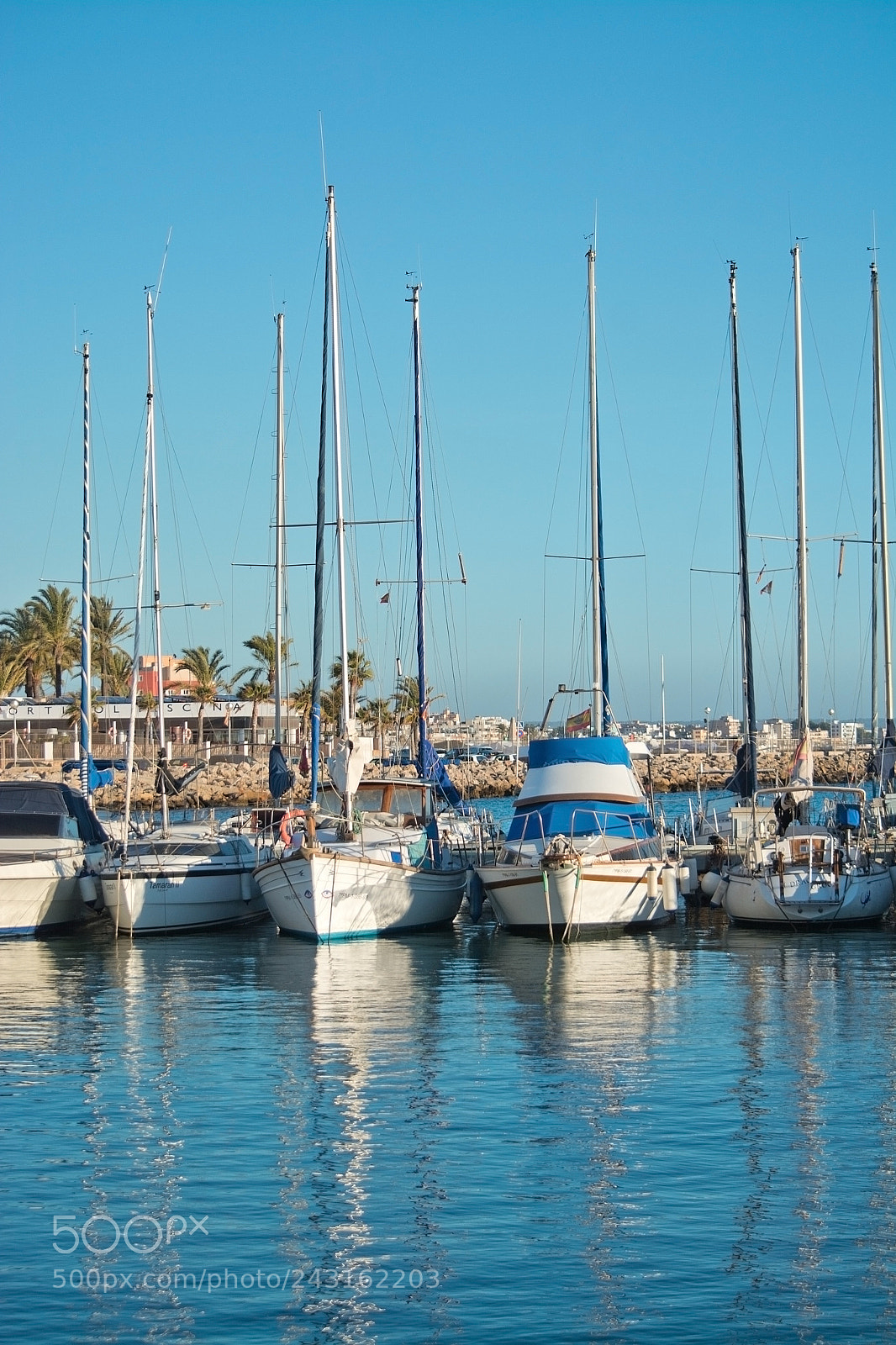 Nikon D7100 sample photo. Portixol marina moored boats photography