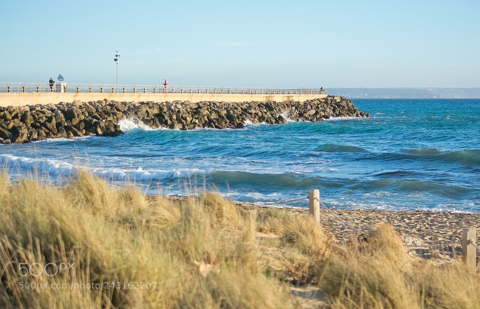 Nikon D7100 sample photo. Portixol pier beach grass photography