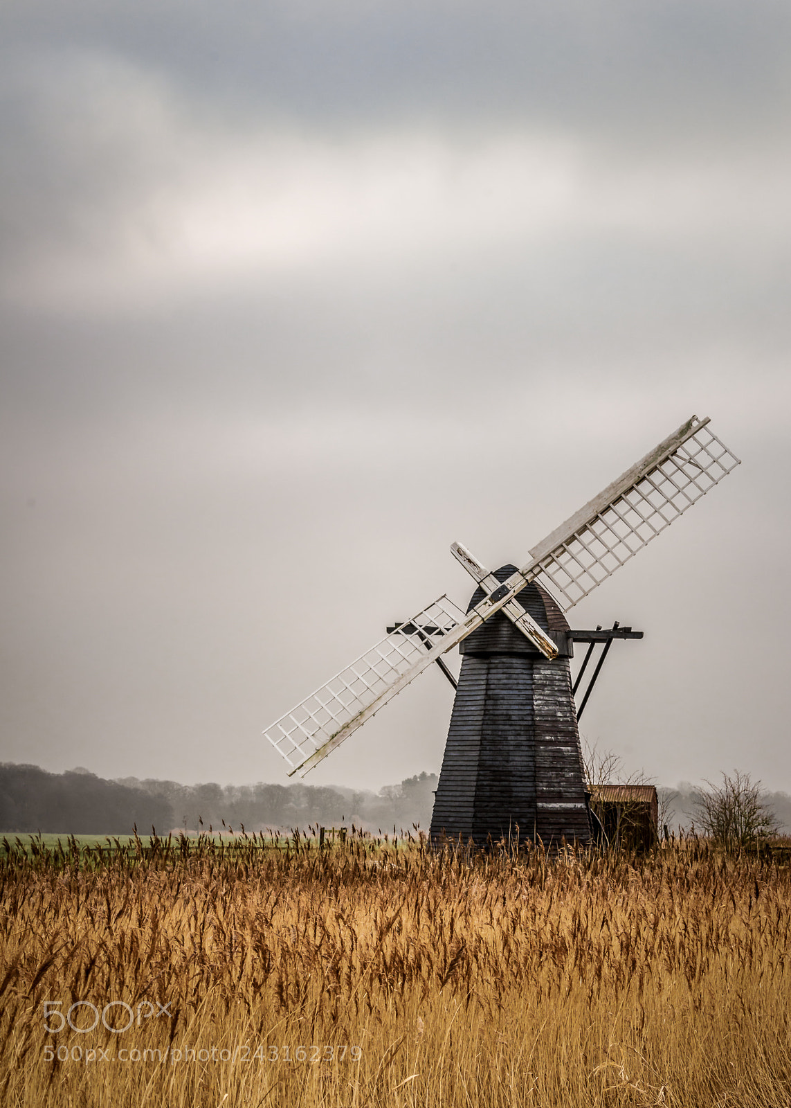 Sony a7 II sample photo. Over reeds photography