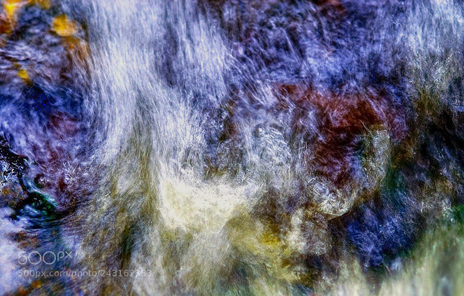 Nikon D70 sample photo. Color palette photography
