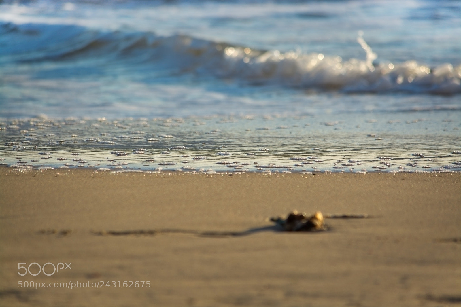 Nikon D7100 sample photo. Sandy beach detail foam photography