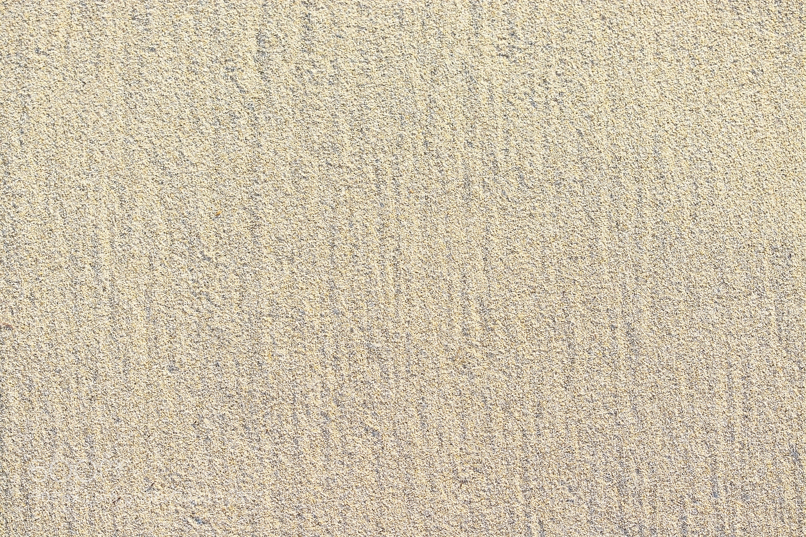 Nikon D7100 sample photo. Sandy beach detail lined photography