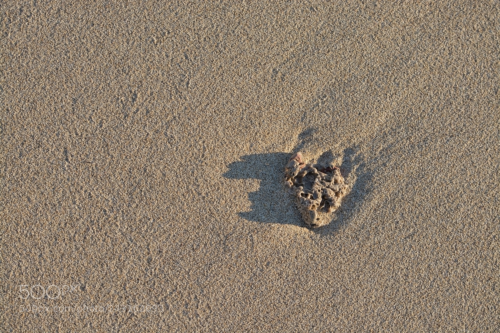Nikon D7100 sample photo. Sandy beach detail foam photography