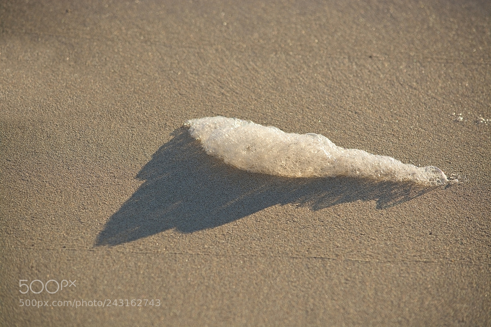 Nikon D7100 sample photo. Seafoam detail on waters photography
