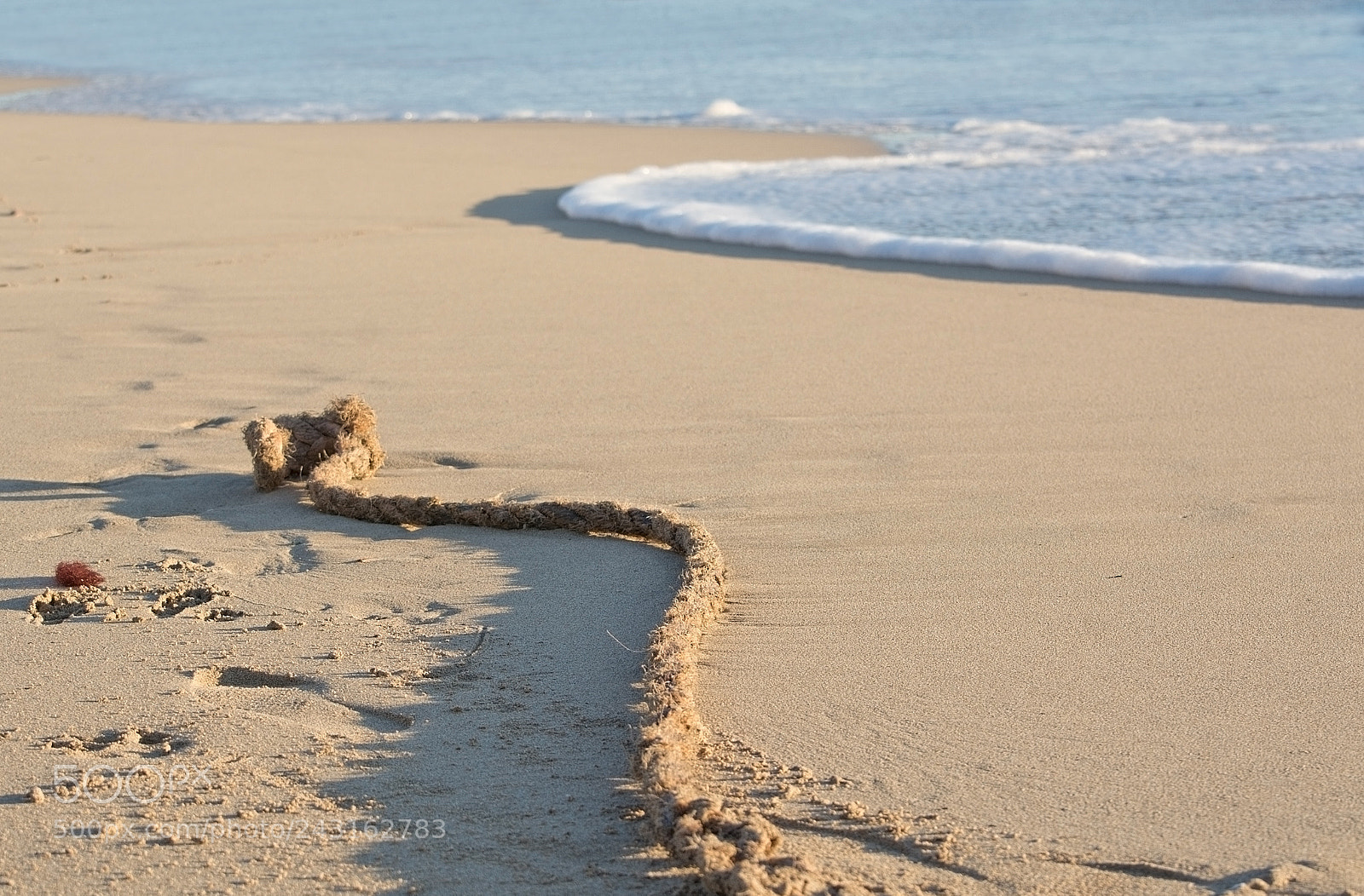 Nikon D7100 sample photo. Rope on waters edge photography
