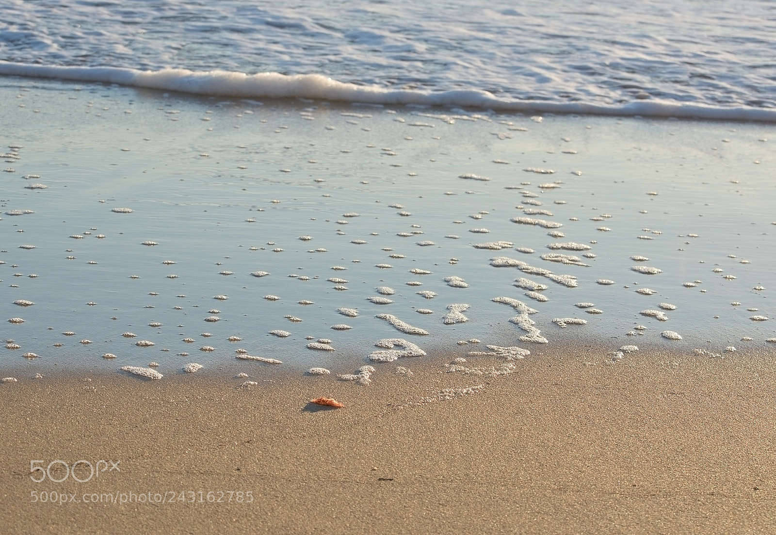 Nikon D7100 sample photo. Sandy beach detail foam photography