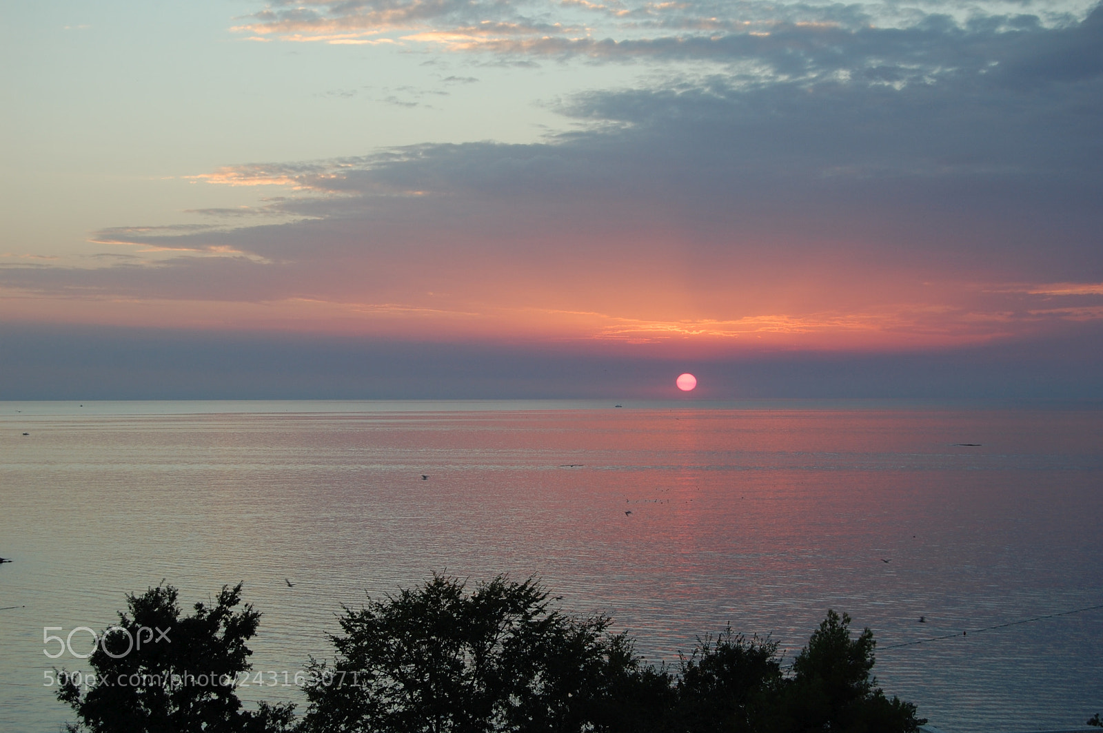 Nikon D40 sample photo. Sunset photography