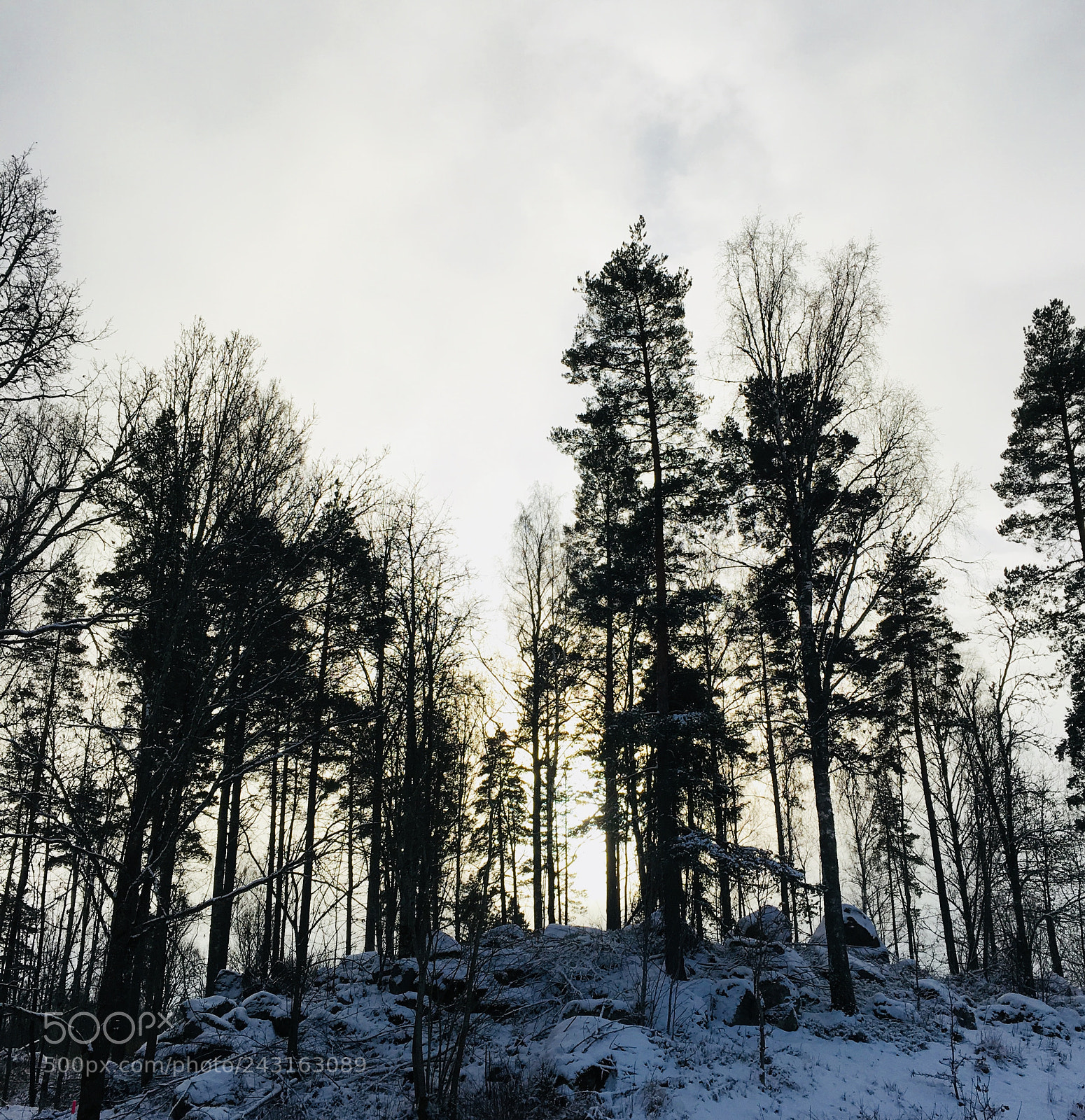 Apple iPhone 6s sample photo. Winter sky photography