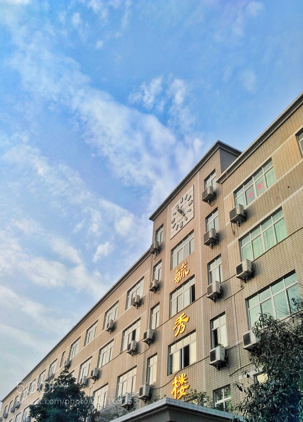 Xiaomi Redmi 3S sample photo. Untitled photography