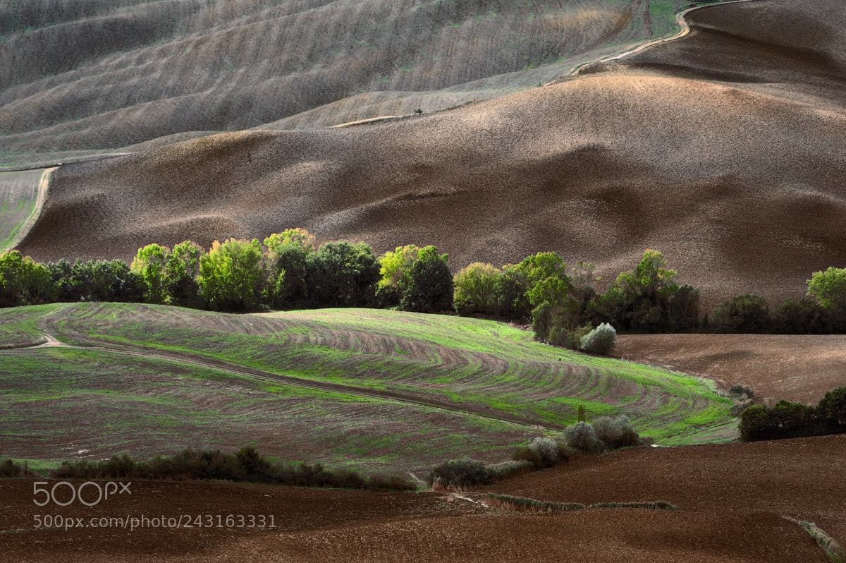Nikon D700 sample photo. Val d'orcia photography