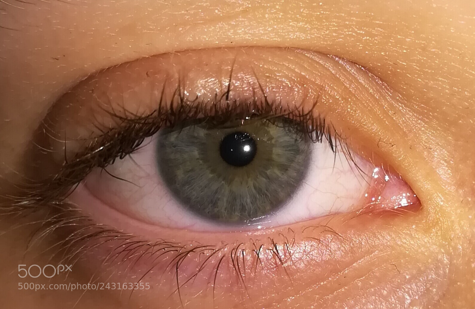 HUAWEI P10 lite sample photo. Eyeshared my eye photography