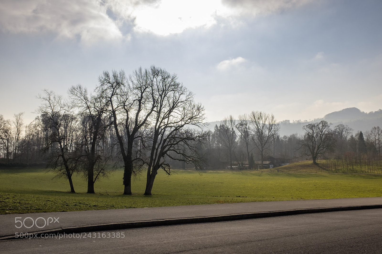 Fujifilm X100T sample photo. Elfenau wiese photography