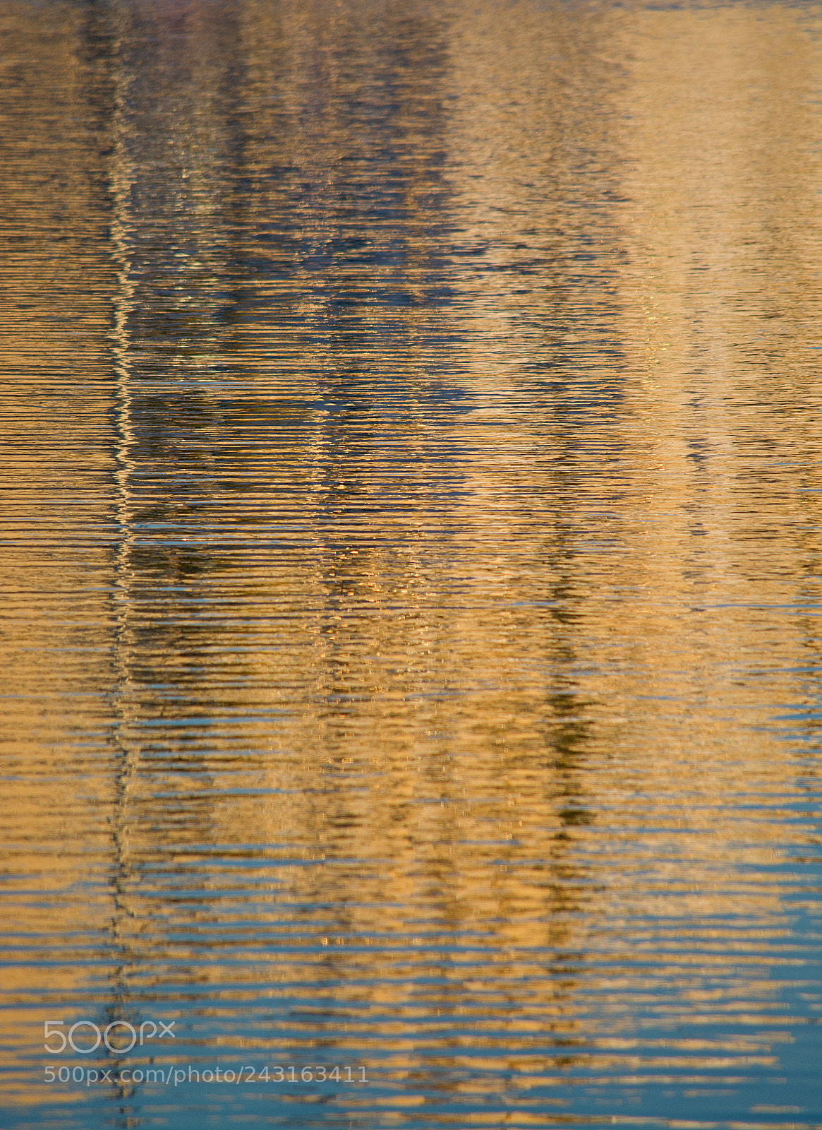 Nikon D7100 sample photo. Marine background texture photography