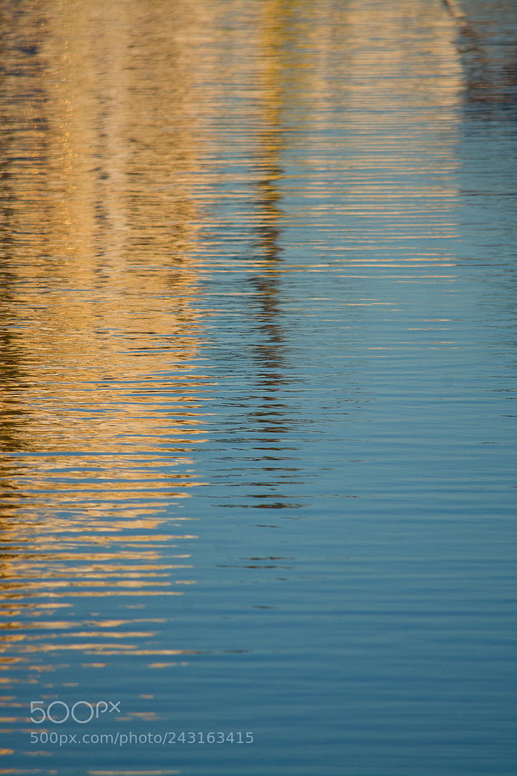 Nikon D7100 sample photo. Marine background texture photography