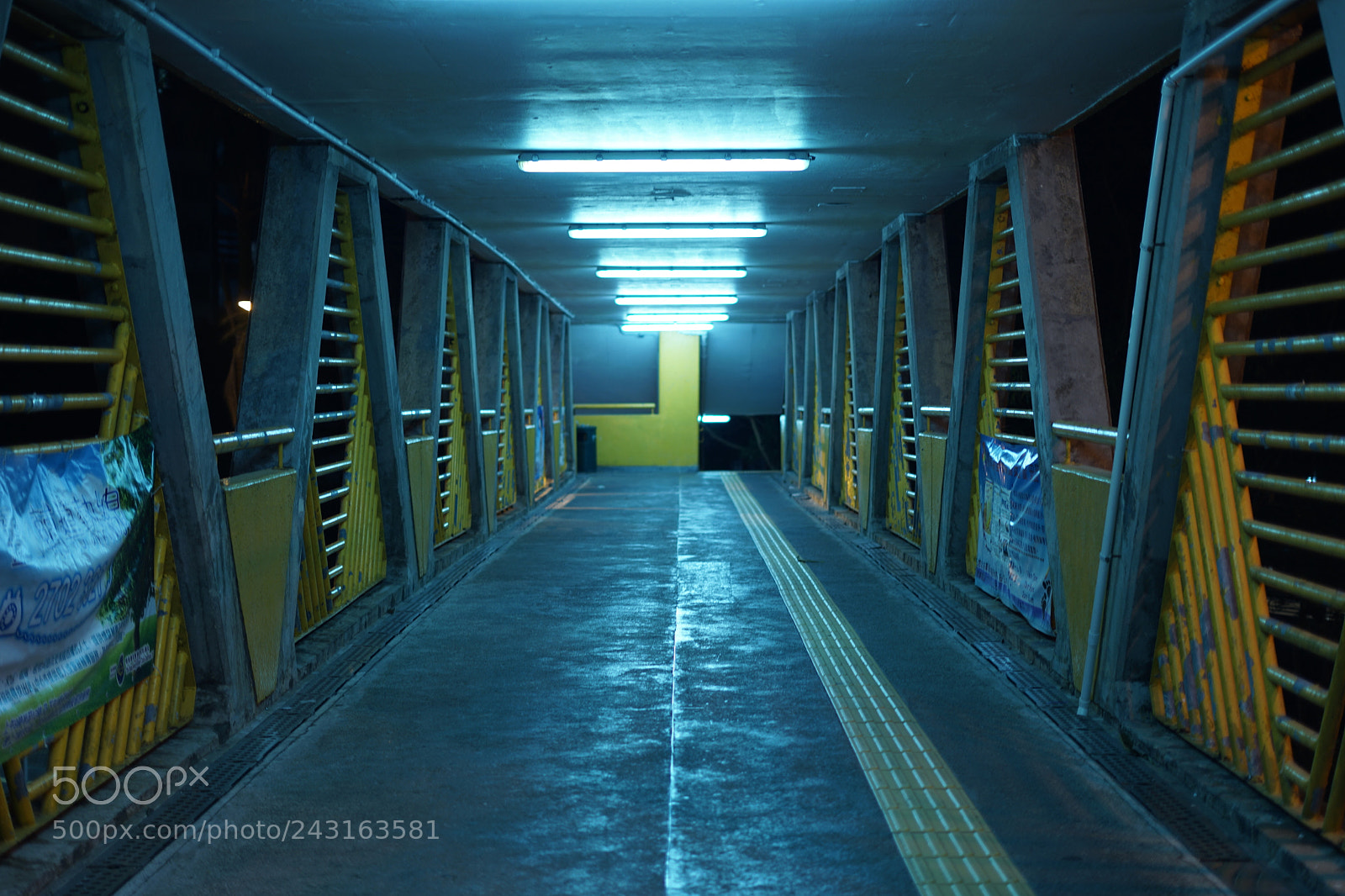 Sony a7 II sample photo. Cage or bridge? photography