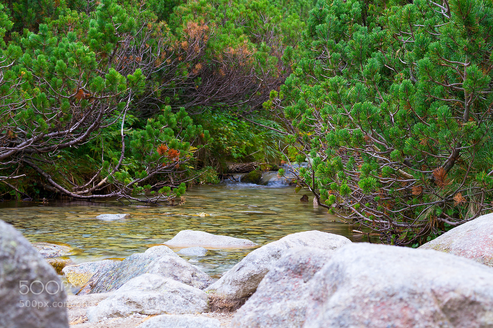 Sony SLT-A58 sample photo. Stream in the high photography