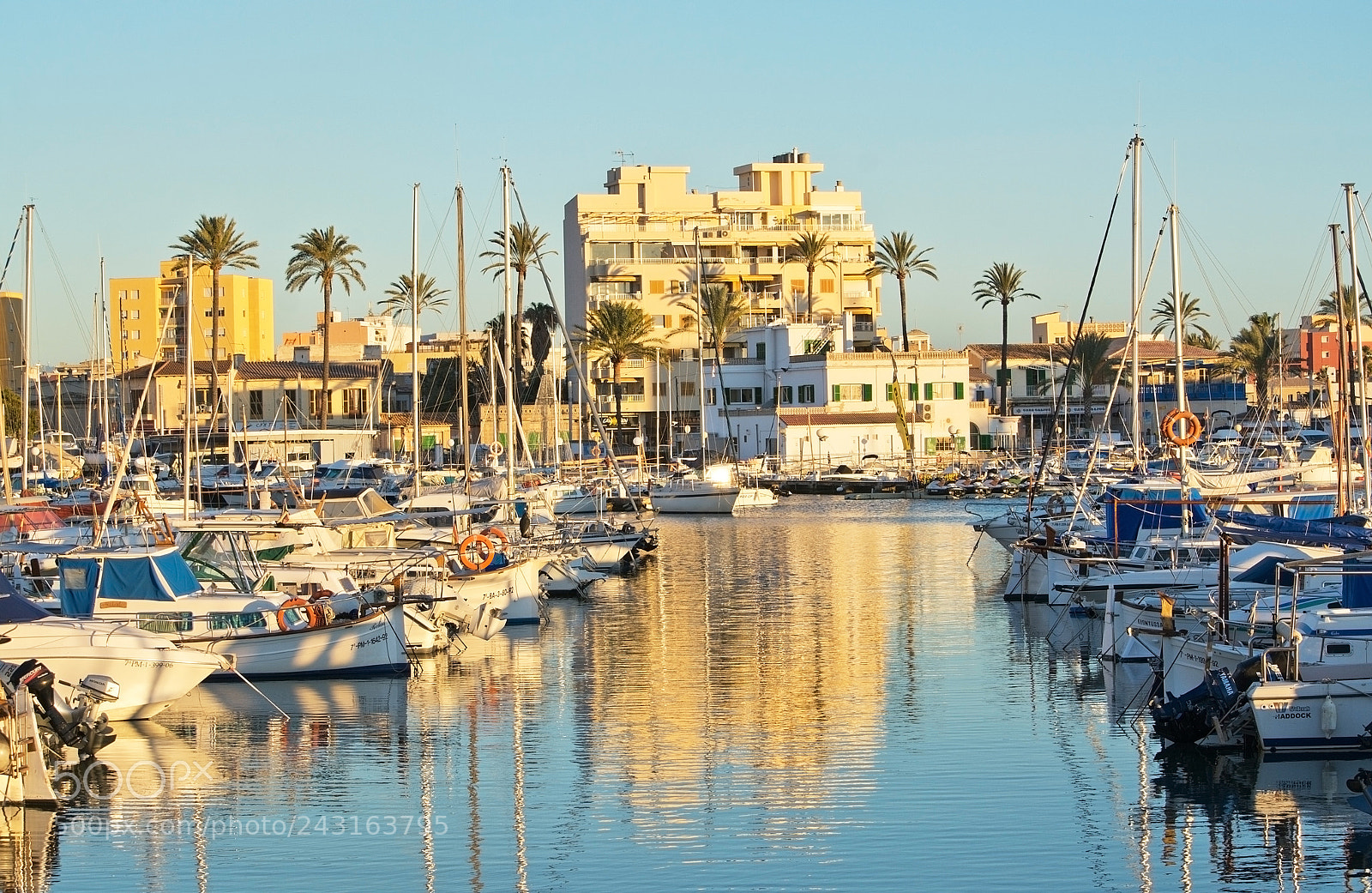 Nikon D7100 sample photo. Portixol marina moored boats photography