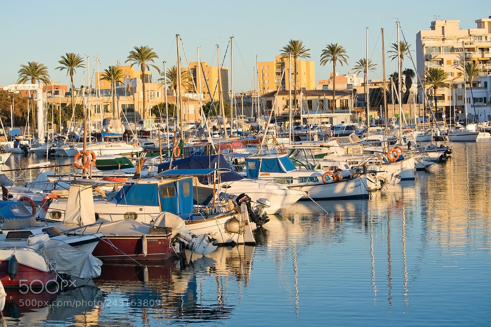 Nikon D7100 sample photo. Portixol marina moored boats photography