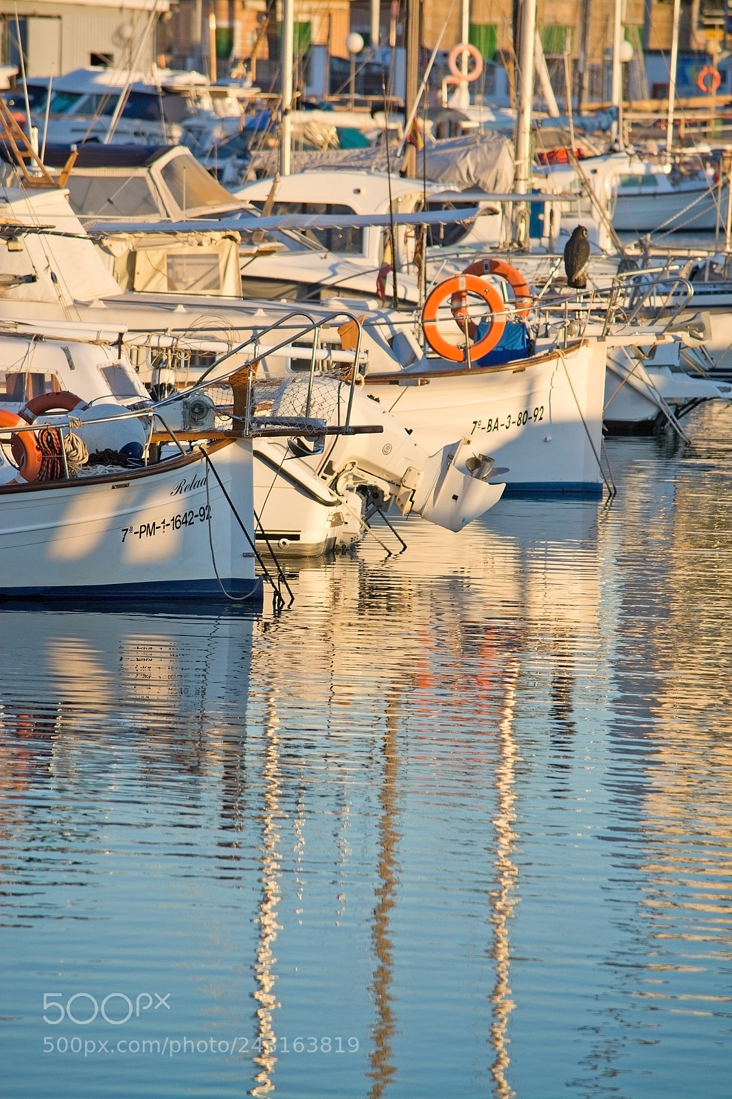 Nikon D7100 sample photo. Portixol marina moored boats photography