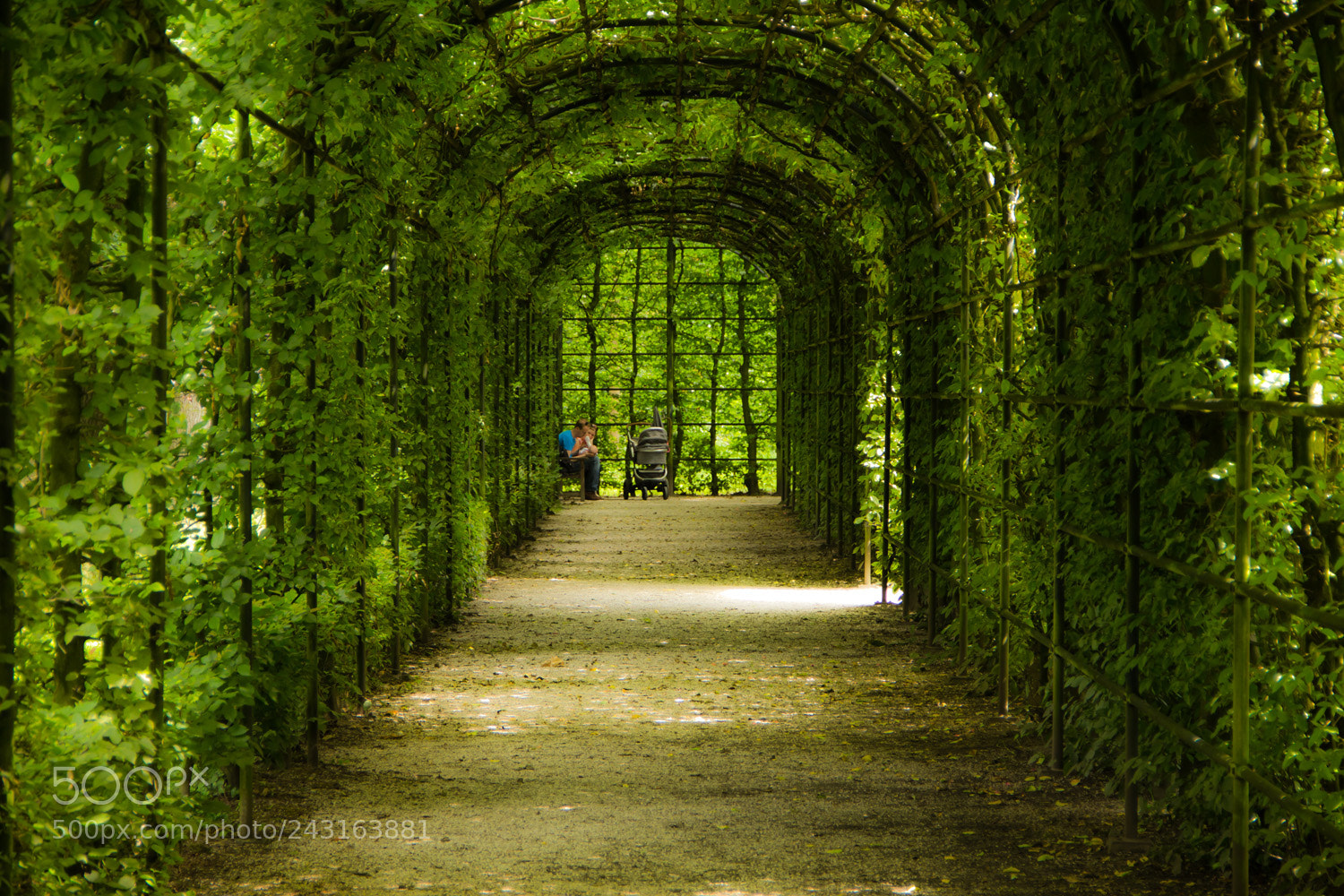 Canon EOS 60D sample photo. The green tunnel photography