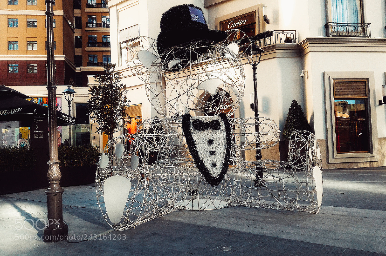 ASUS ZenFone 2 (ZE551ML) sample photo. Ex-bear photography