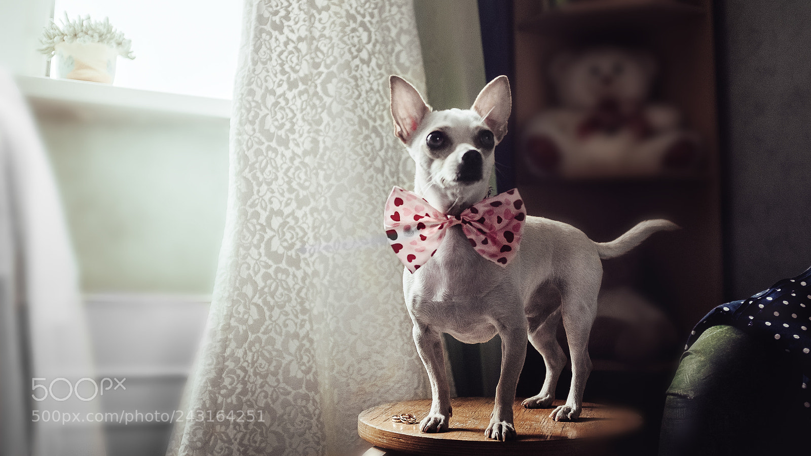 Fujifilm X100S sample photo. Wedding day photography