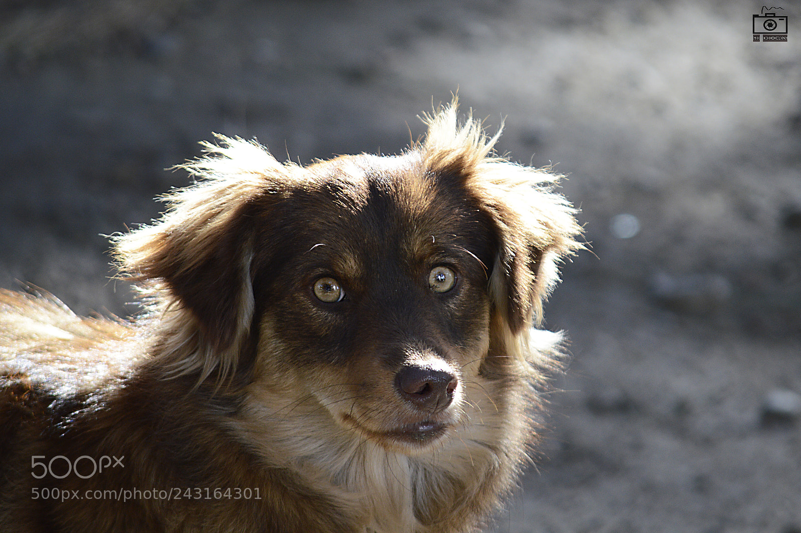 Nikon D3200 sample photo. Untitled photography