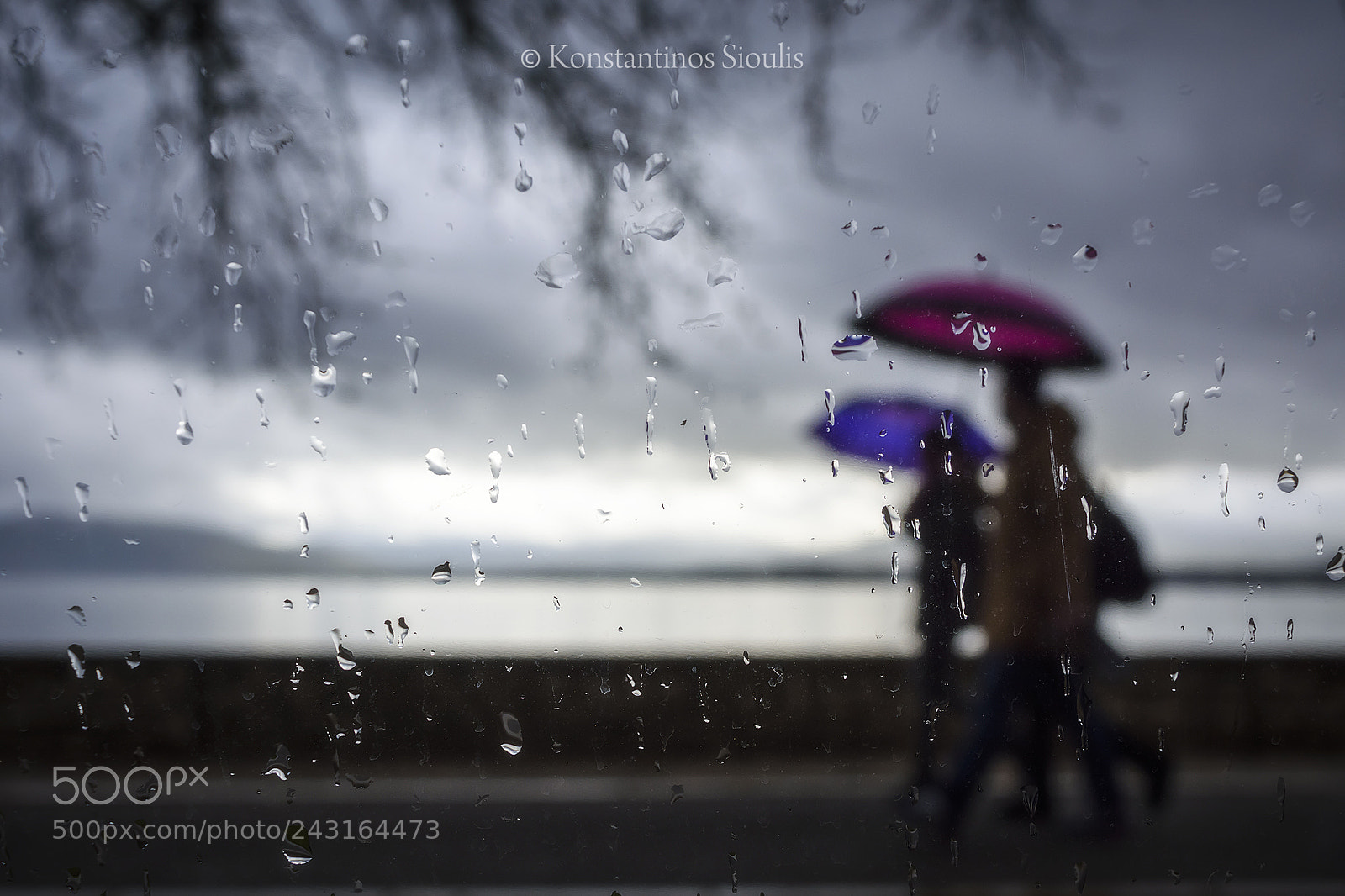 Nikon D7200 sample photo. Untitled photography