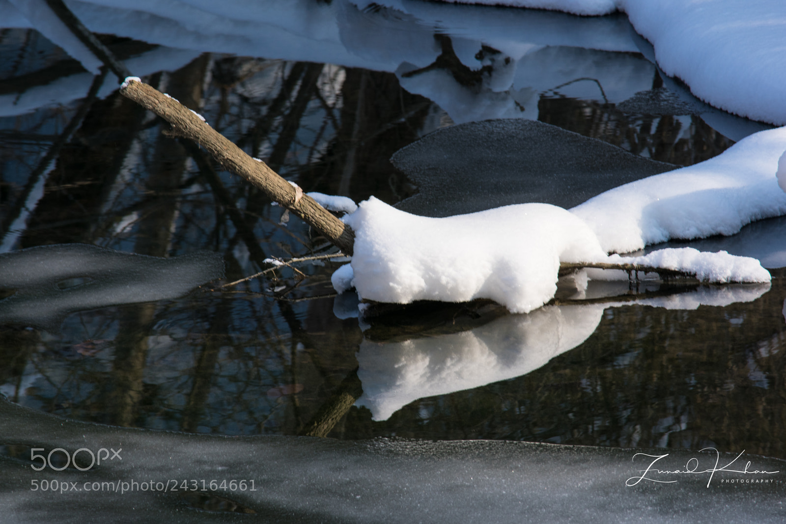 Nikon D3400 sample photo. Reflection photography