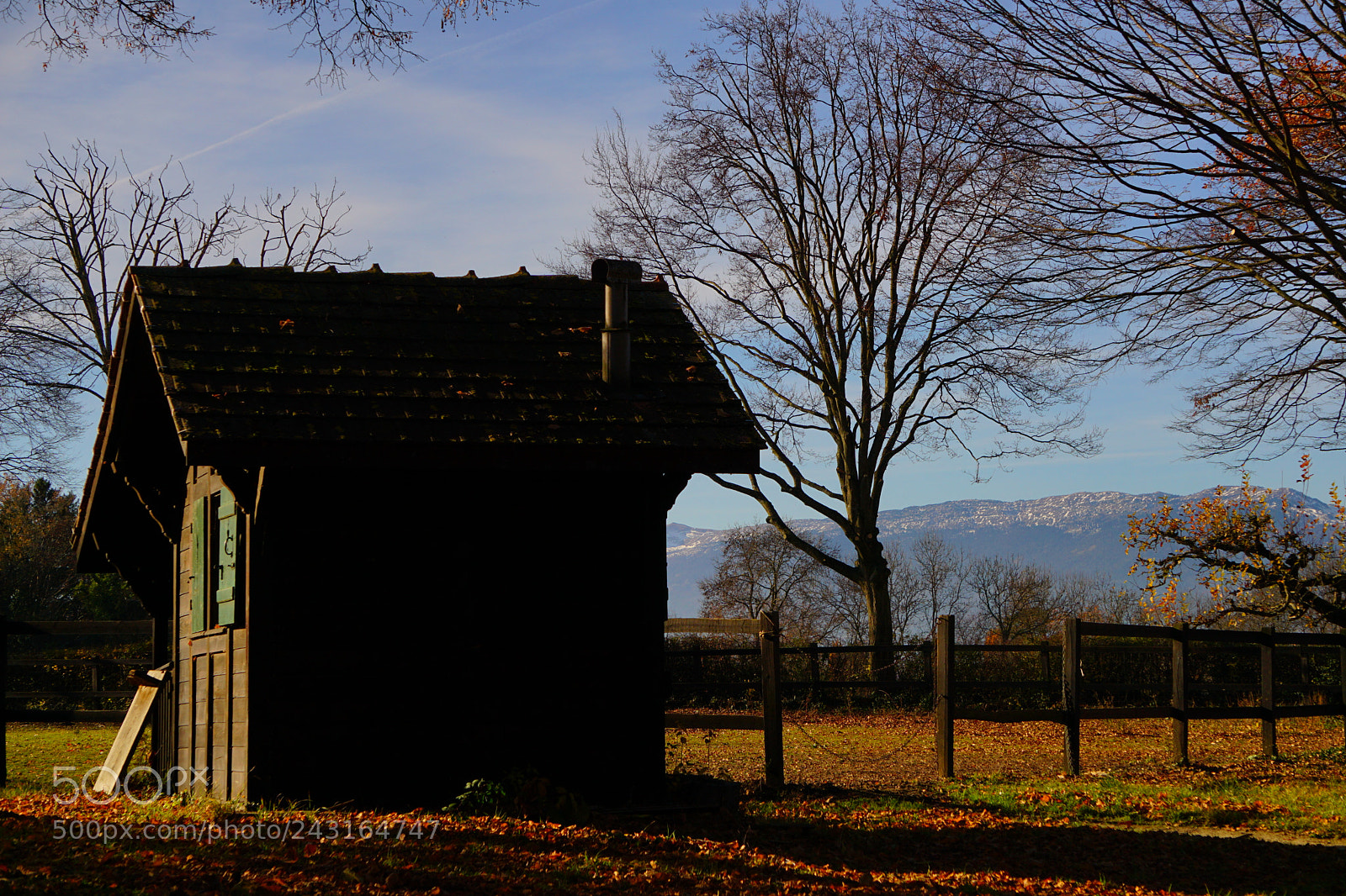 Sony a5100 sample photo. A shed in autumn photography