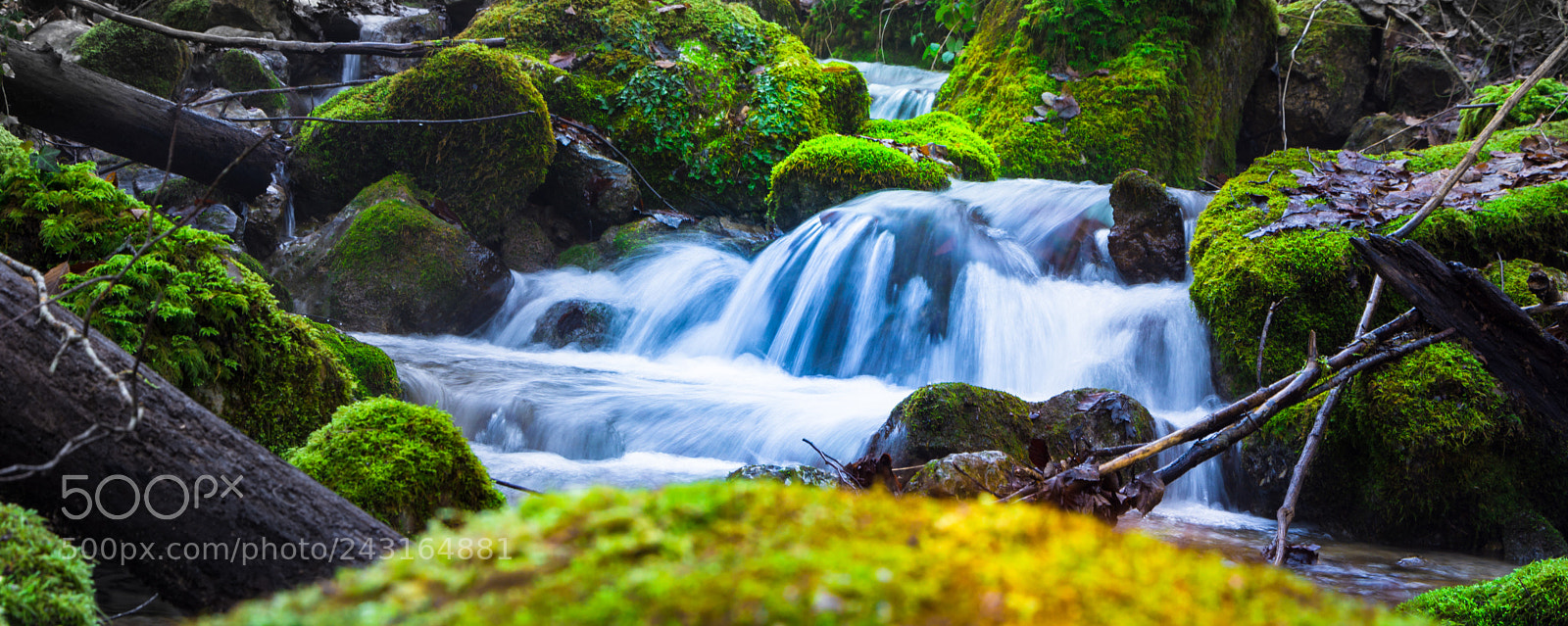 Nikon D7200 sample photo. Fresh nature photography