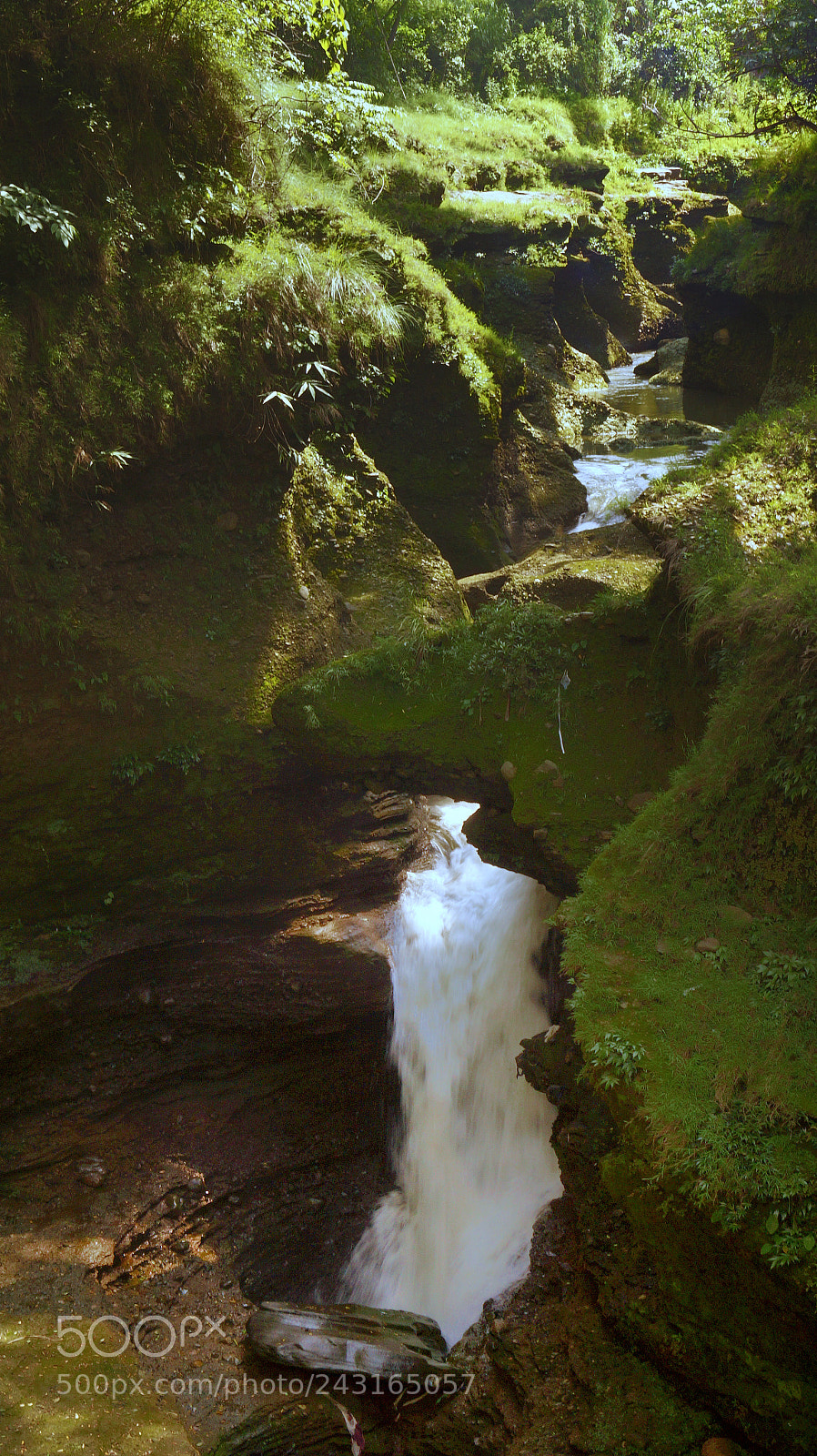 Sony SLT-A58 sample photo. Untitled photography