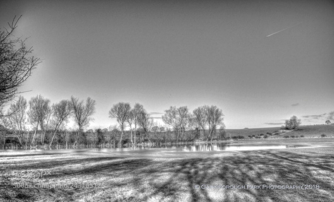 Olympus OM-D E-M10 II sample photo. Flooded fields photography
