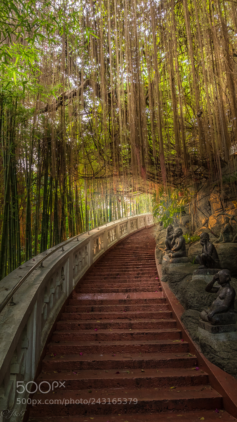Olympus OM-D E-M1 Mark II sample photo. Another stairway to heaven photography