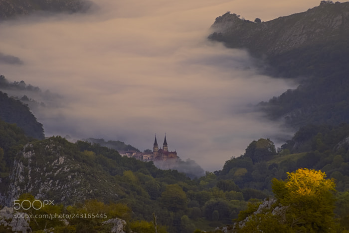 Nikon D200 sample photo. Lagos de covadonga photography