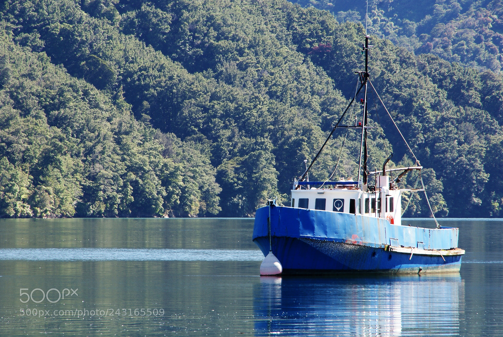 Sony Alpha DSLR-A200 sample photo. Ahoy photography