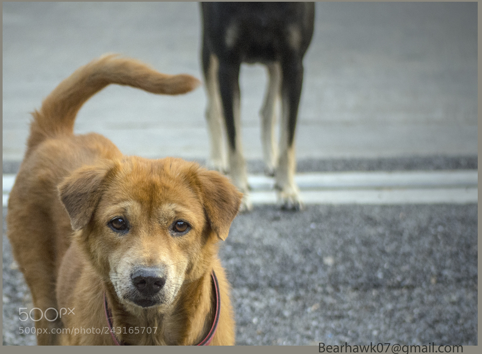 Nikon D7200 sample photo. 067.jpg photography