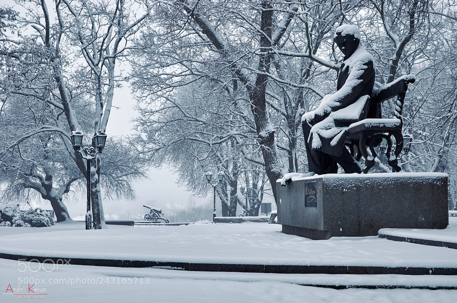 Nikon D300 sample photo. Snowy park photography