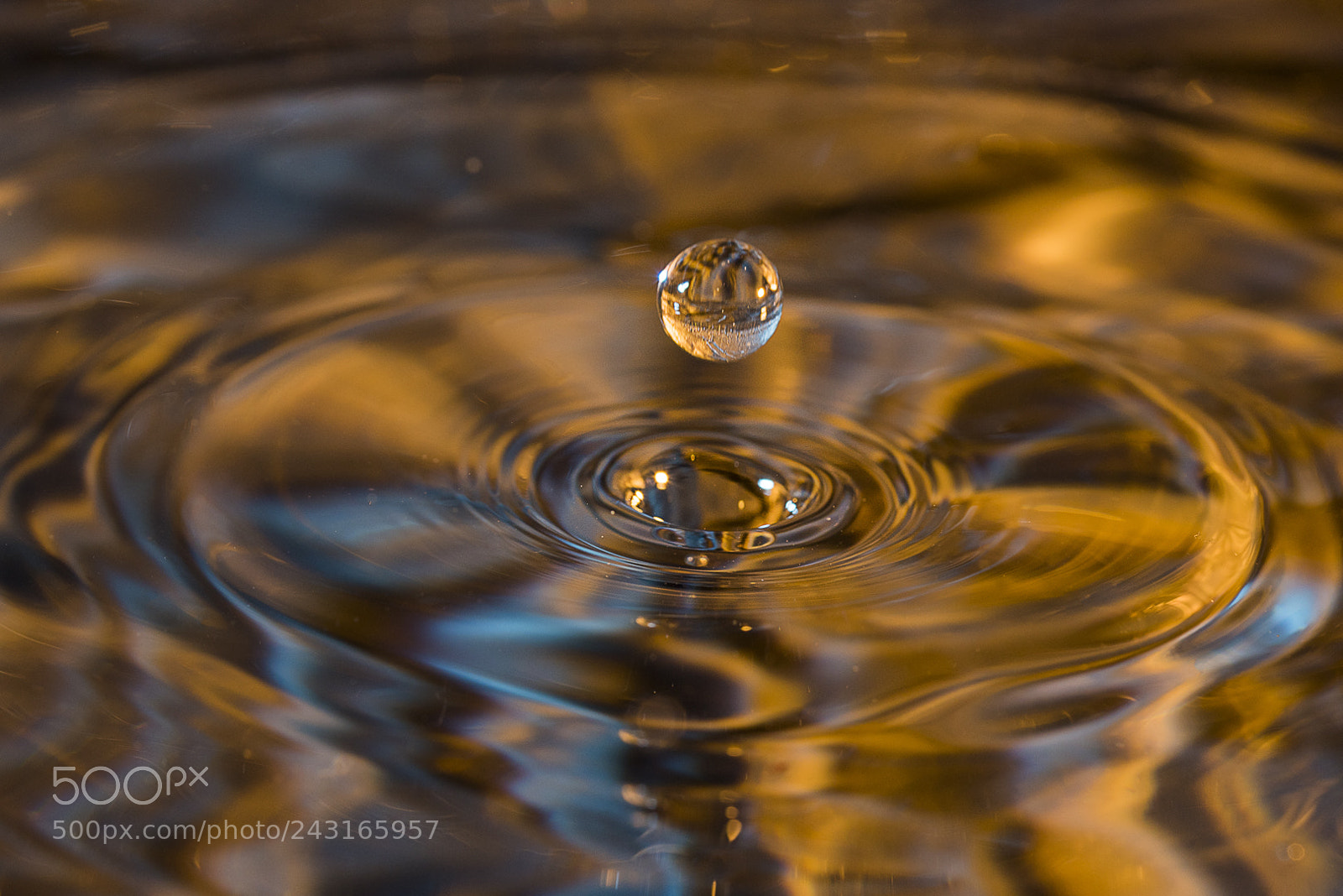 Nikon D750 sample photo. Ball of water droplet photography