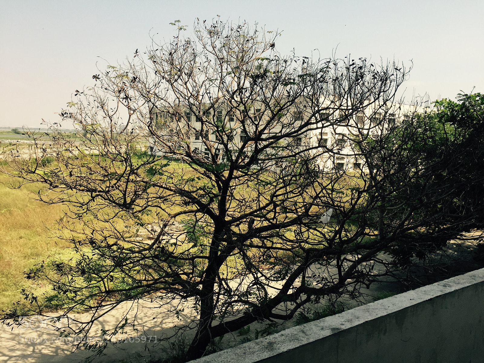 Apple iPhone 6 sample photo. Untitled photography