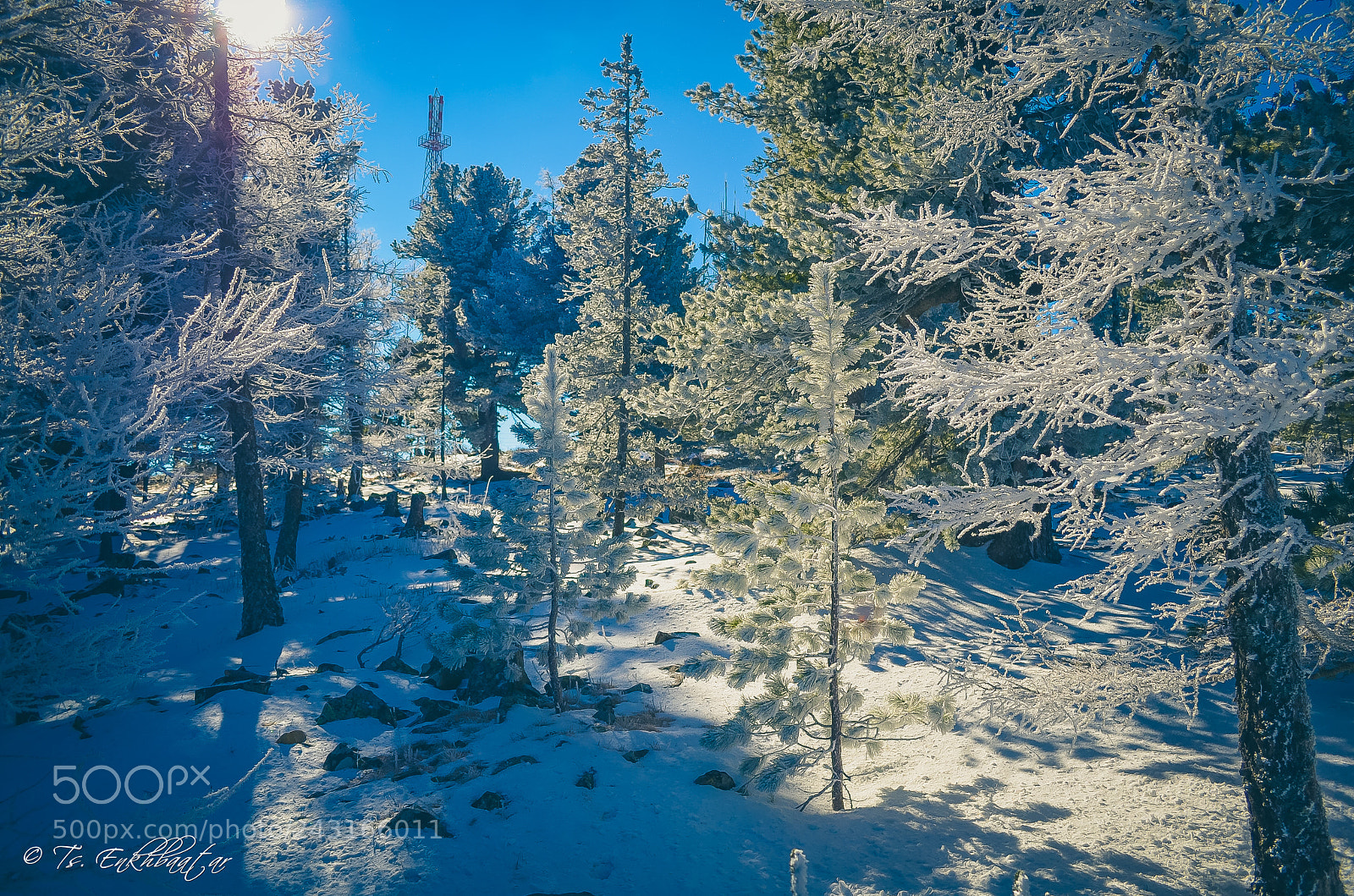 Nikon D5100 sample photo. Winter ... photography