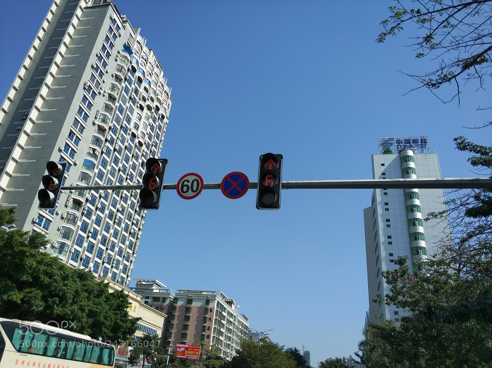Xiaomi MI6 sample photo. Untitled photography