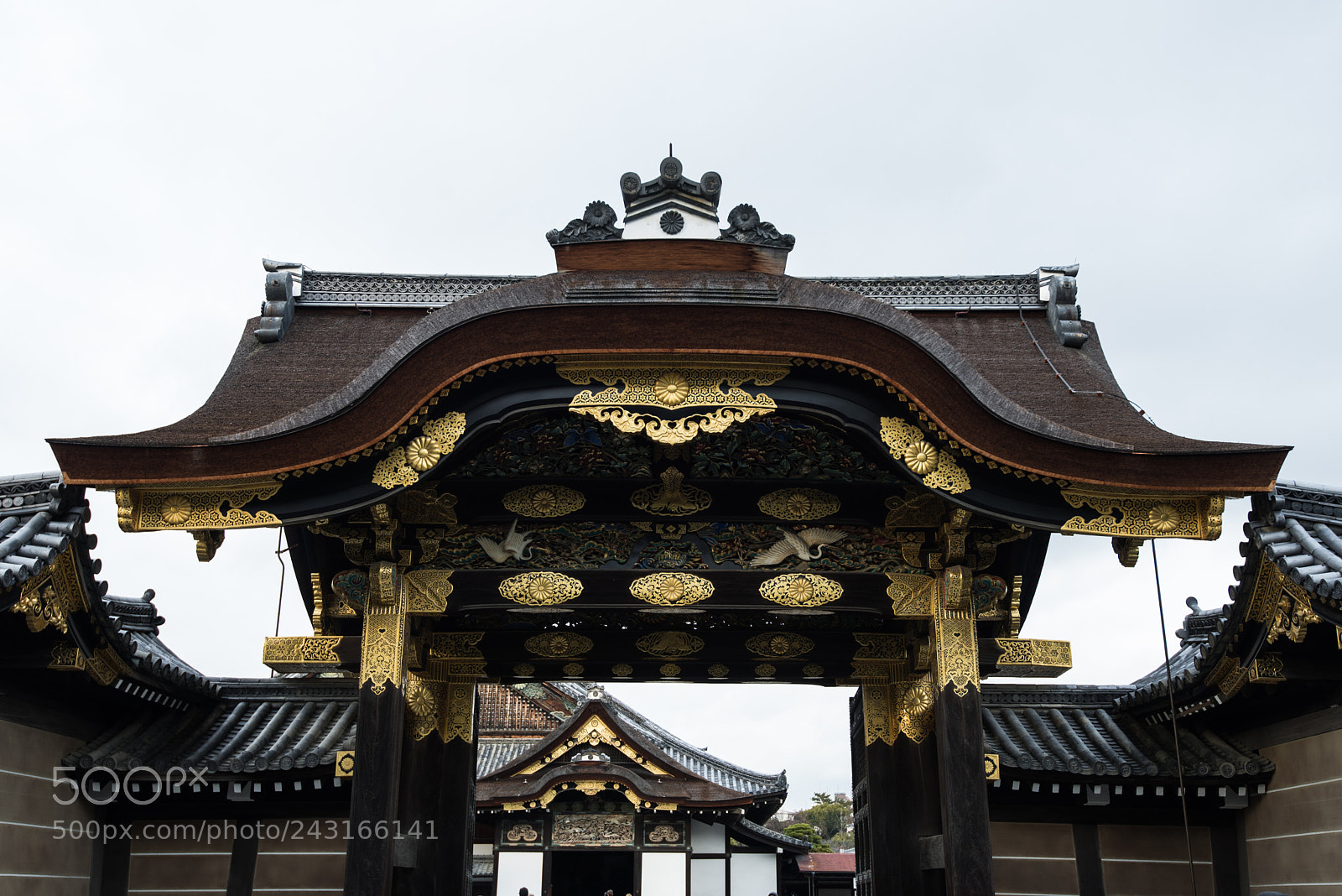 Nikon D610 sample photo. Main gate of nijo photography
