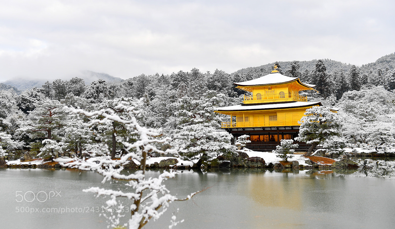 Nikon D5 sample photo. 金閣寺 photography