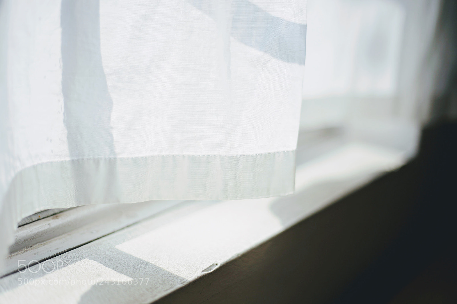 Canon EOS 6D + Canon EF 50mm F1.8 STM sample photo. Sunny photography
