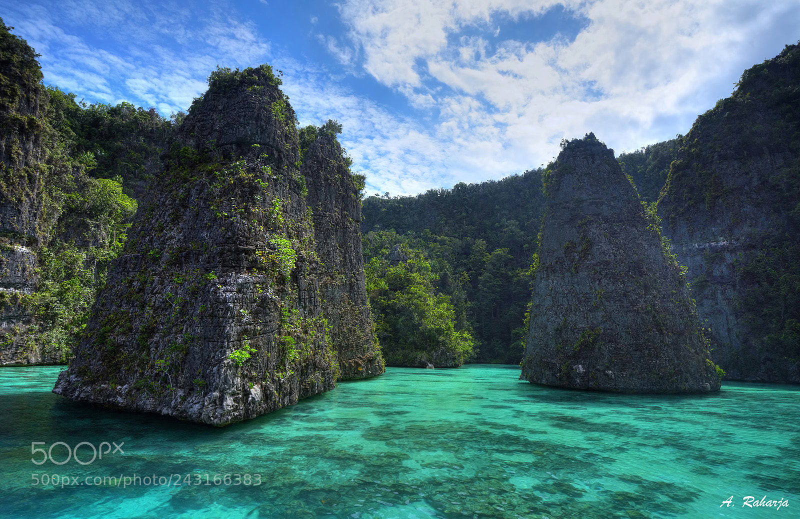 Nikon D810 sample photo. Balbulol photography