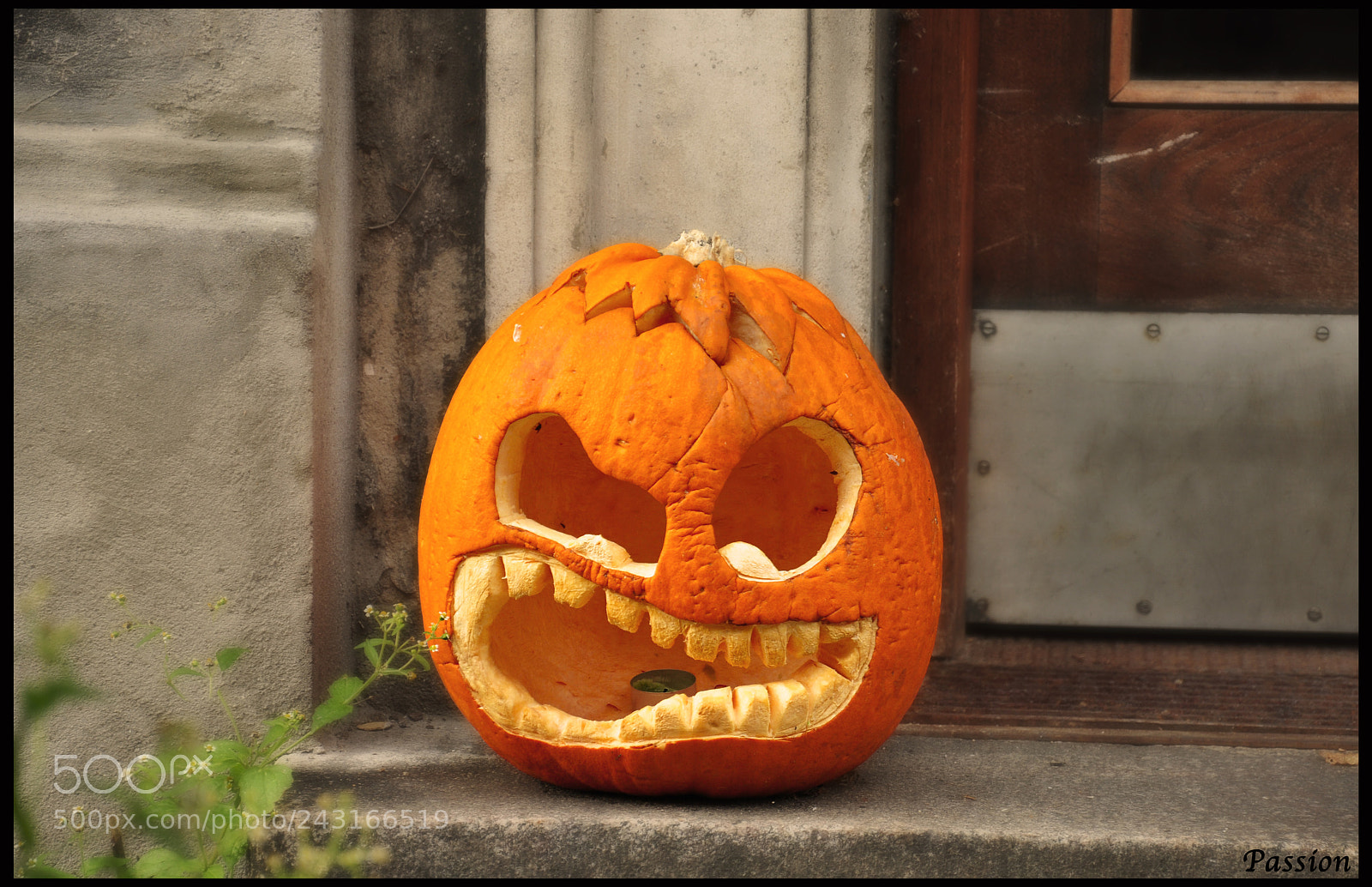Nikon D90 sample photo. Time to smile photography